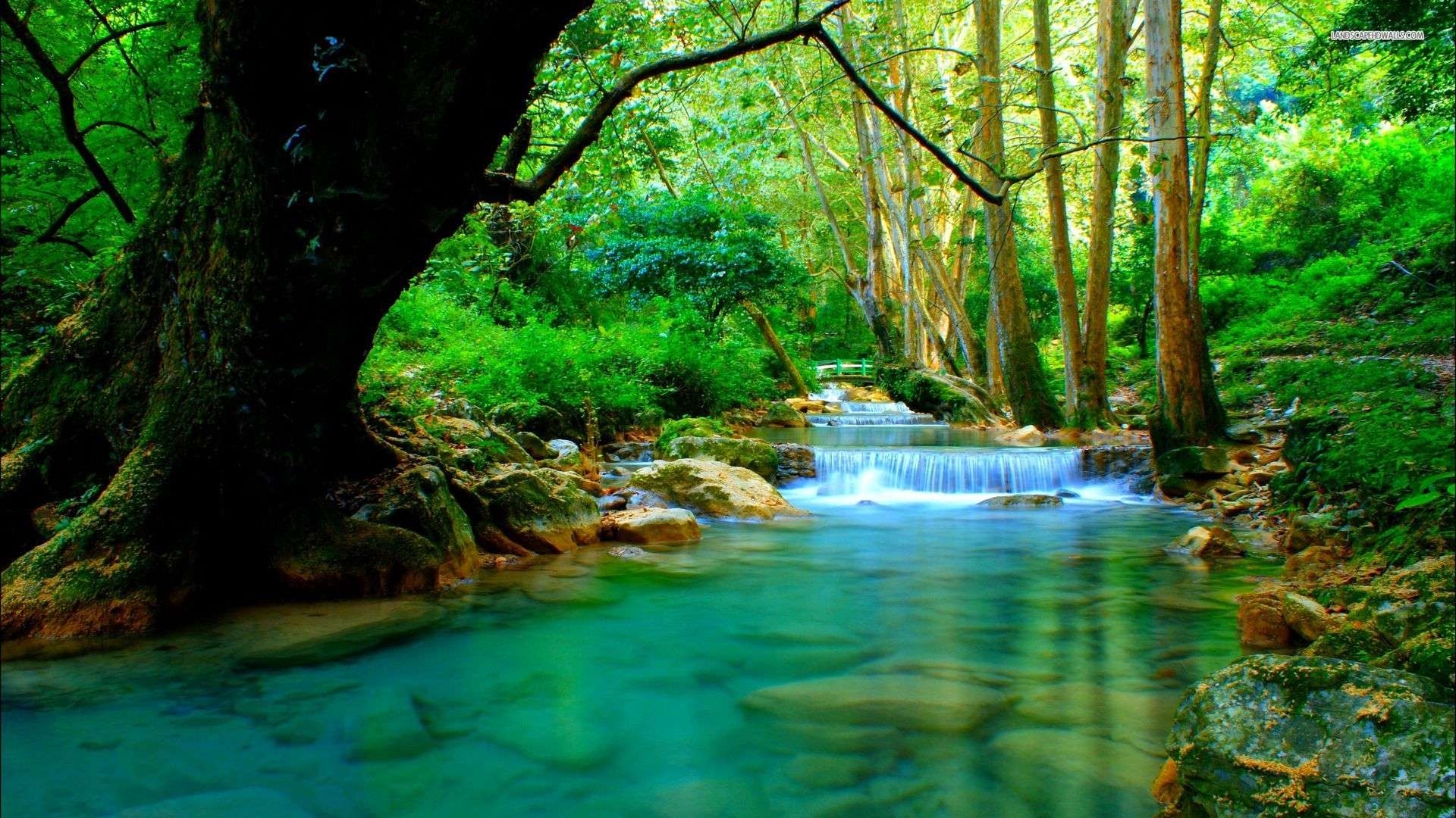 1920x1080 Forest River Wallpaper Desktop #DBb. Earth, Desktop