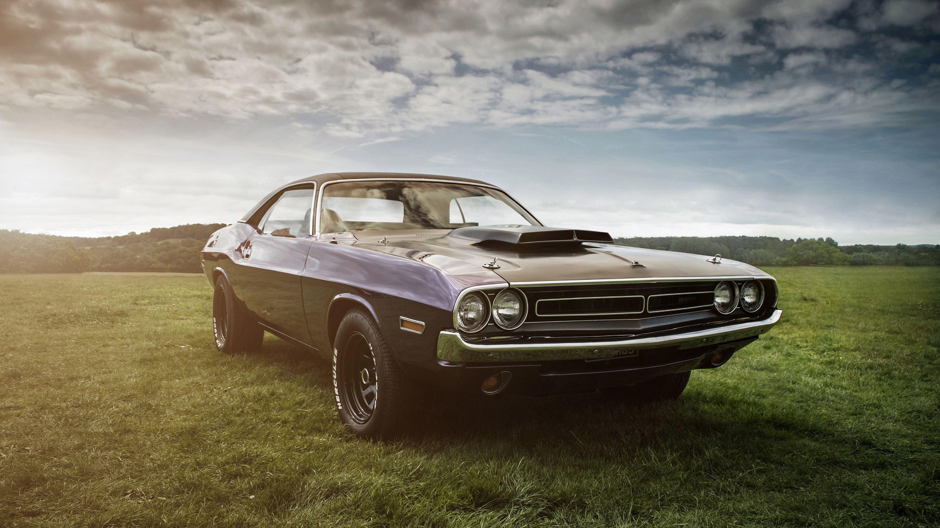 3840x2160 Dodge Challenger HD 4k vintage cars wallpaper, muscle cars, Desktop