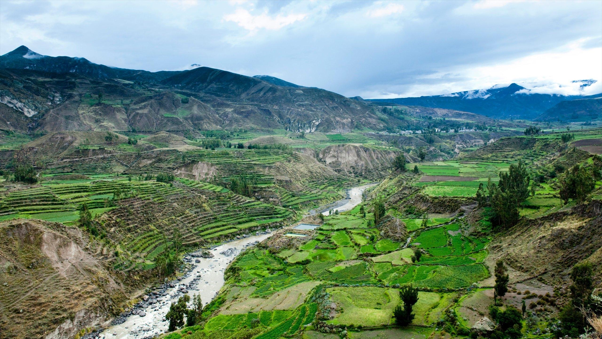 2560x1440 Colca Canyon Hotels 2019 Top Hotels in Colca Canyon, Desktop