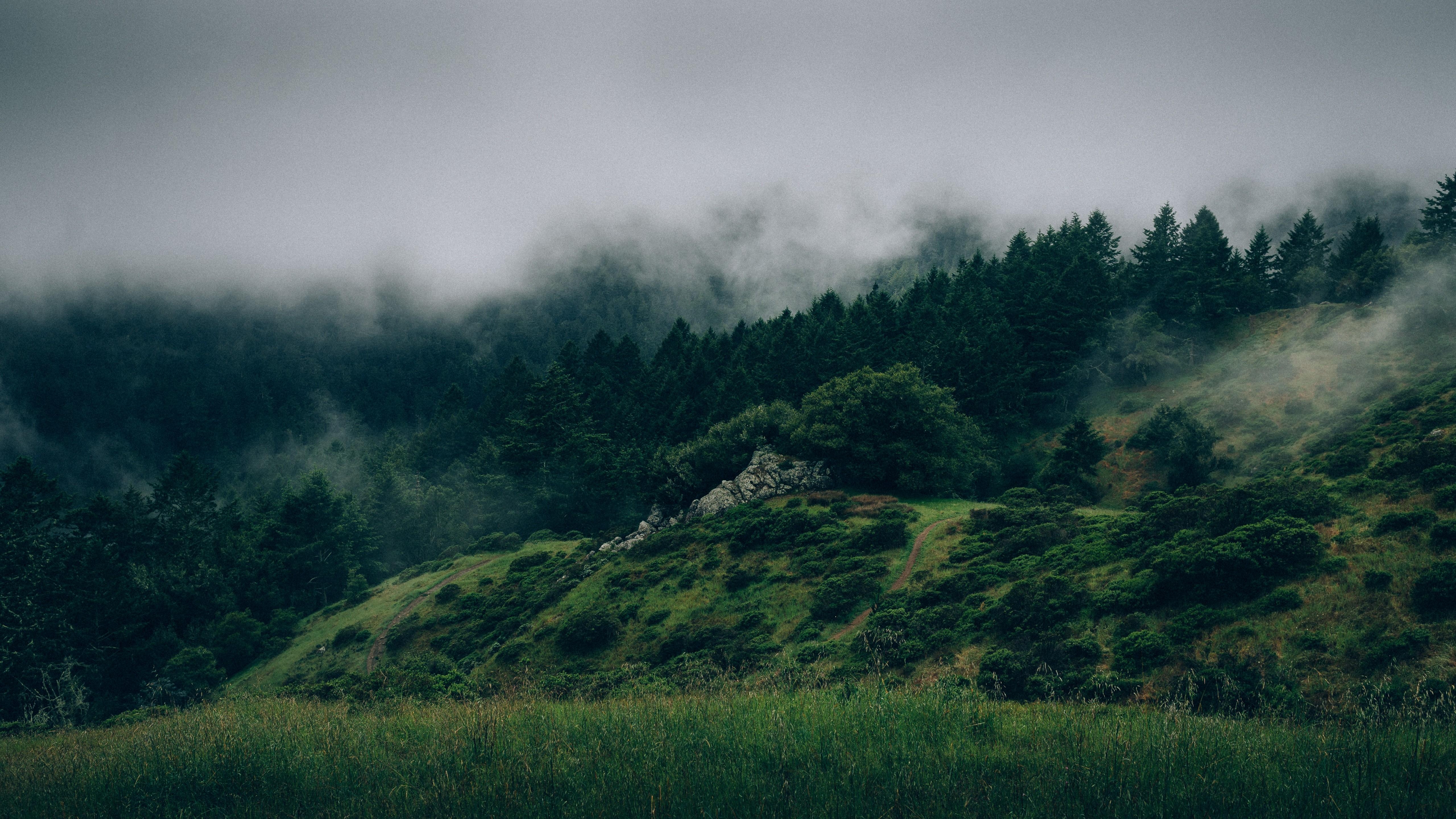 5120x2880 Wallpaper Forest, 5k, 4k wallpaper, 8k, mist, hills, fog, Nature, Desktop