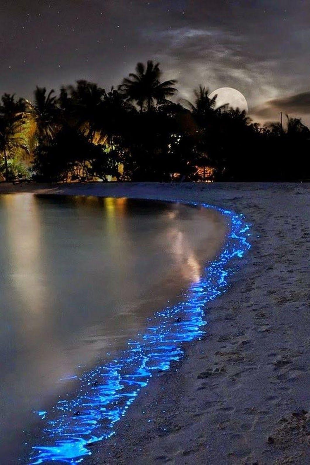 1060x1590 Sea of Stars Island. Maldives. My dream vacation spot, Phone