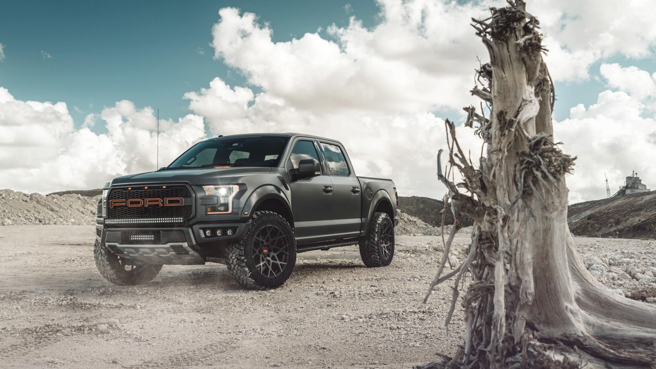 2560x1440 Wallpaper Ford F 150 Raptor, 4K, 8K, Automotive / Cars, Desktop