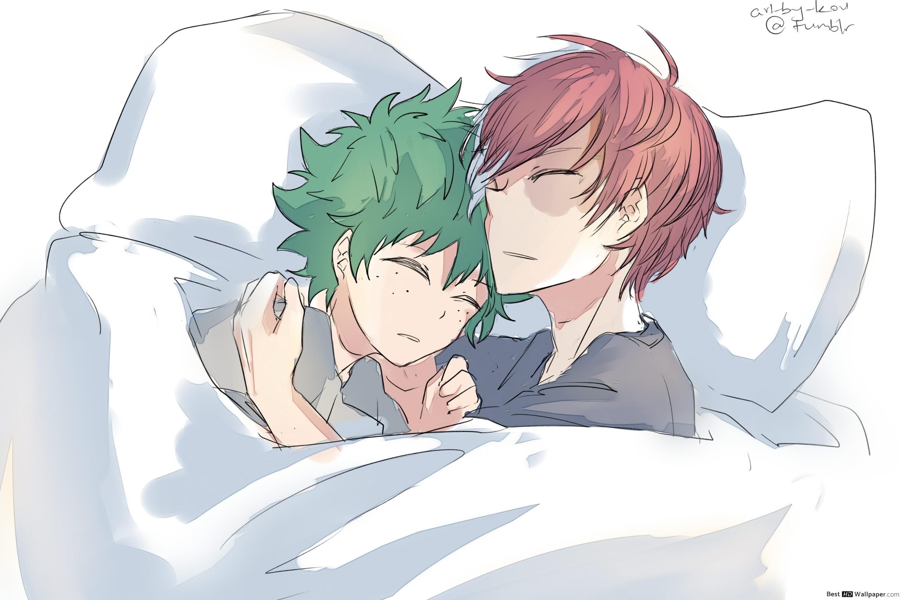 3000x2000 My Hero Academia Midoriya & Shoto Todoroki Sleeping HD wallpaper download, Desktop