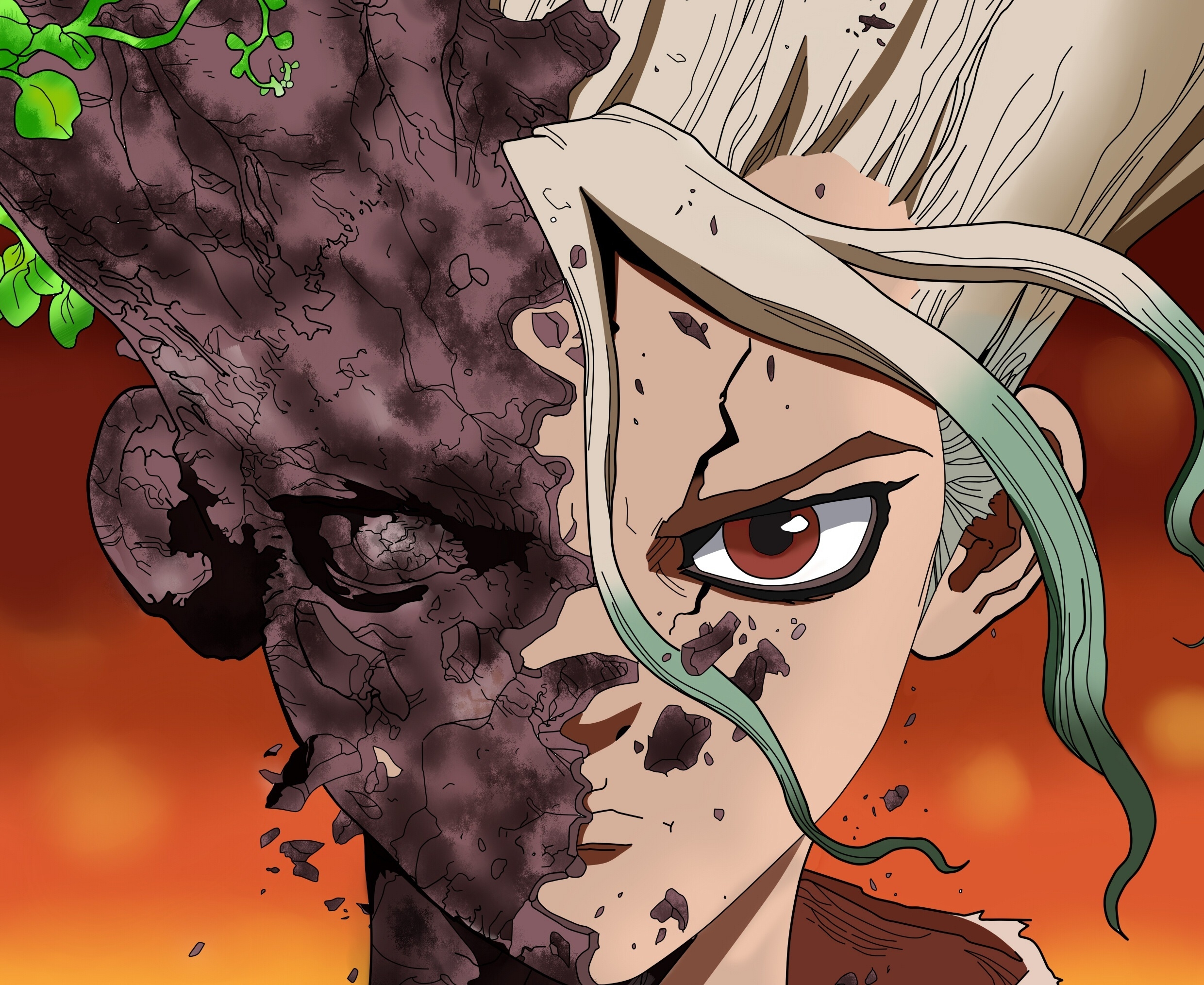 2480x2030 Dr. Stone HD Wallpaper, Desktop