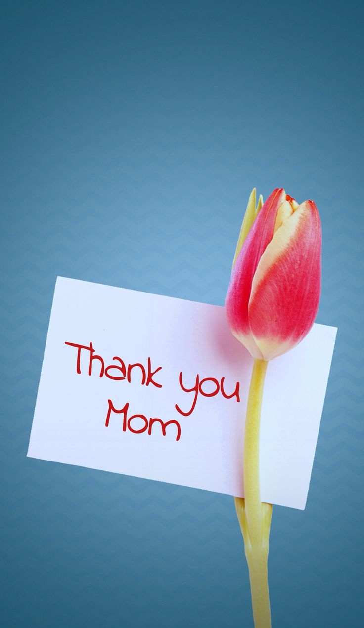 740x1280 Happy mother day quotes, Happy mothers day, Phone