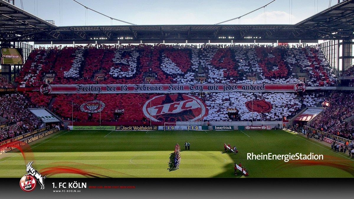 1200x680 Hero Wallpaper fc köln Wallpaper, Desktop