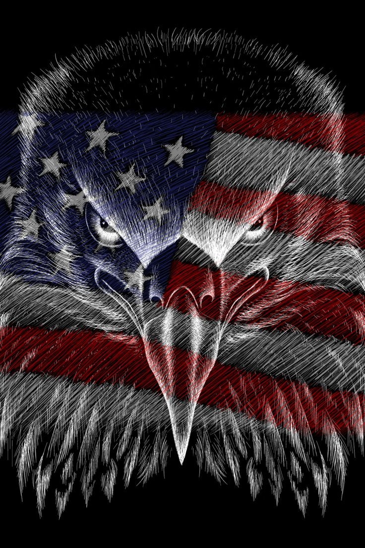 740x1110 City View Night Light iPhone Wallpaper. American flag wallpaper, America flag wallpaper, Patriotic wallpaper, Phone