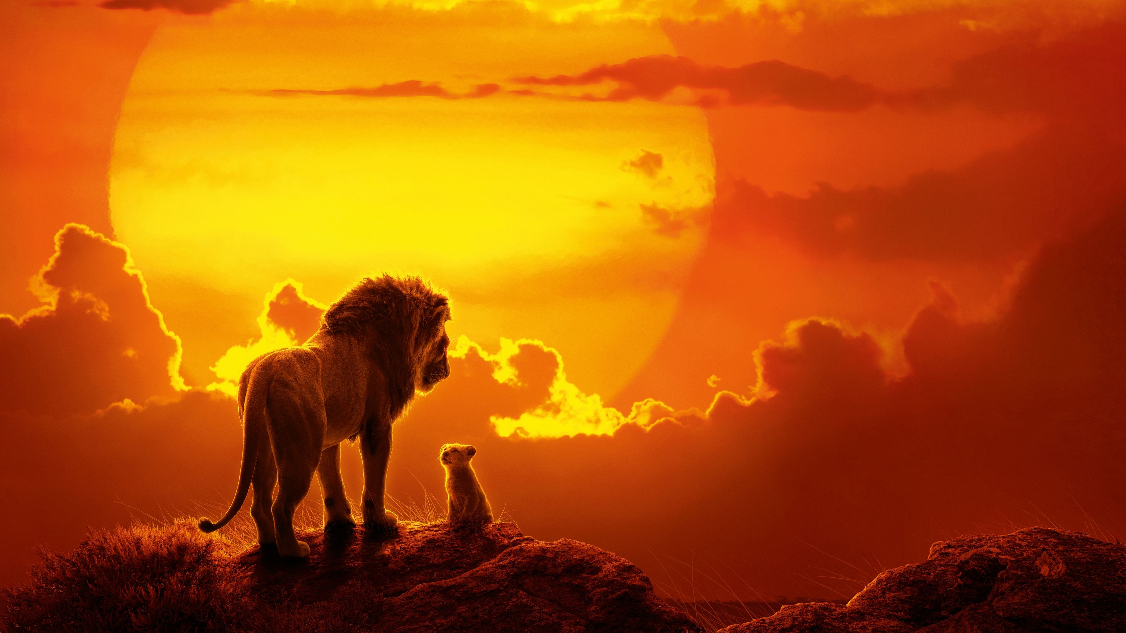 3840x2160 Wallpaper 4k The Lion King Movie 2019 Movies Wallpaper, 4k Wallpaper, 5k Wallpaper, 8k Wallpaper, Disney Wallpaper, Hd Wallpaper, Lion Wallpaper, Movies Wallpaper, Simba Wallpaper, The Lion King Wallpaper, Desktop