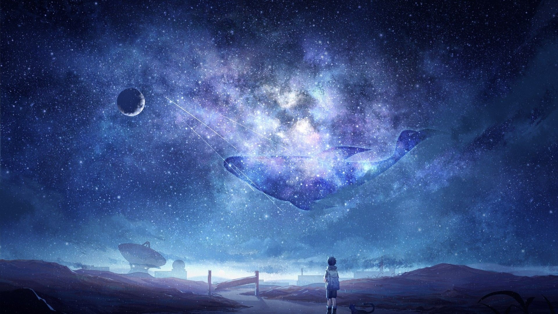 1920x1080 Download  Anime Sky, Milky Way, Stars, Anime Boy, Dog, Moon, Whale, Galaxy Wallpaper for Widescreen, Desktop