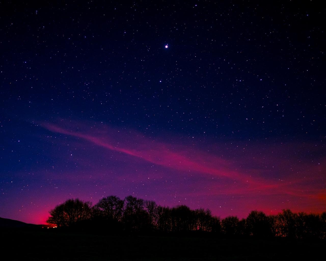 1280x1030 Download wallpaper  starry sky, night, trees, clouds, Desktop