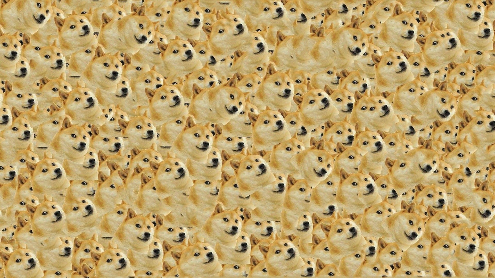 1920x1080 Doge in SPACE Wallpaper (), Desktop