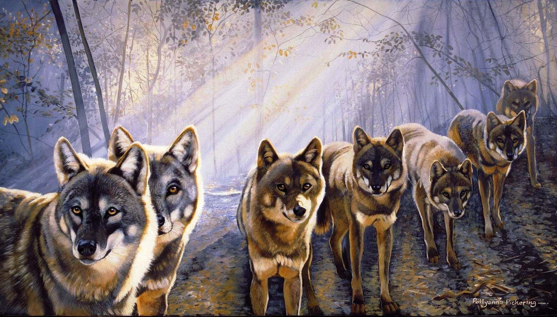 1940x1110 Pack of Wolves Wallpaper, Desktop