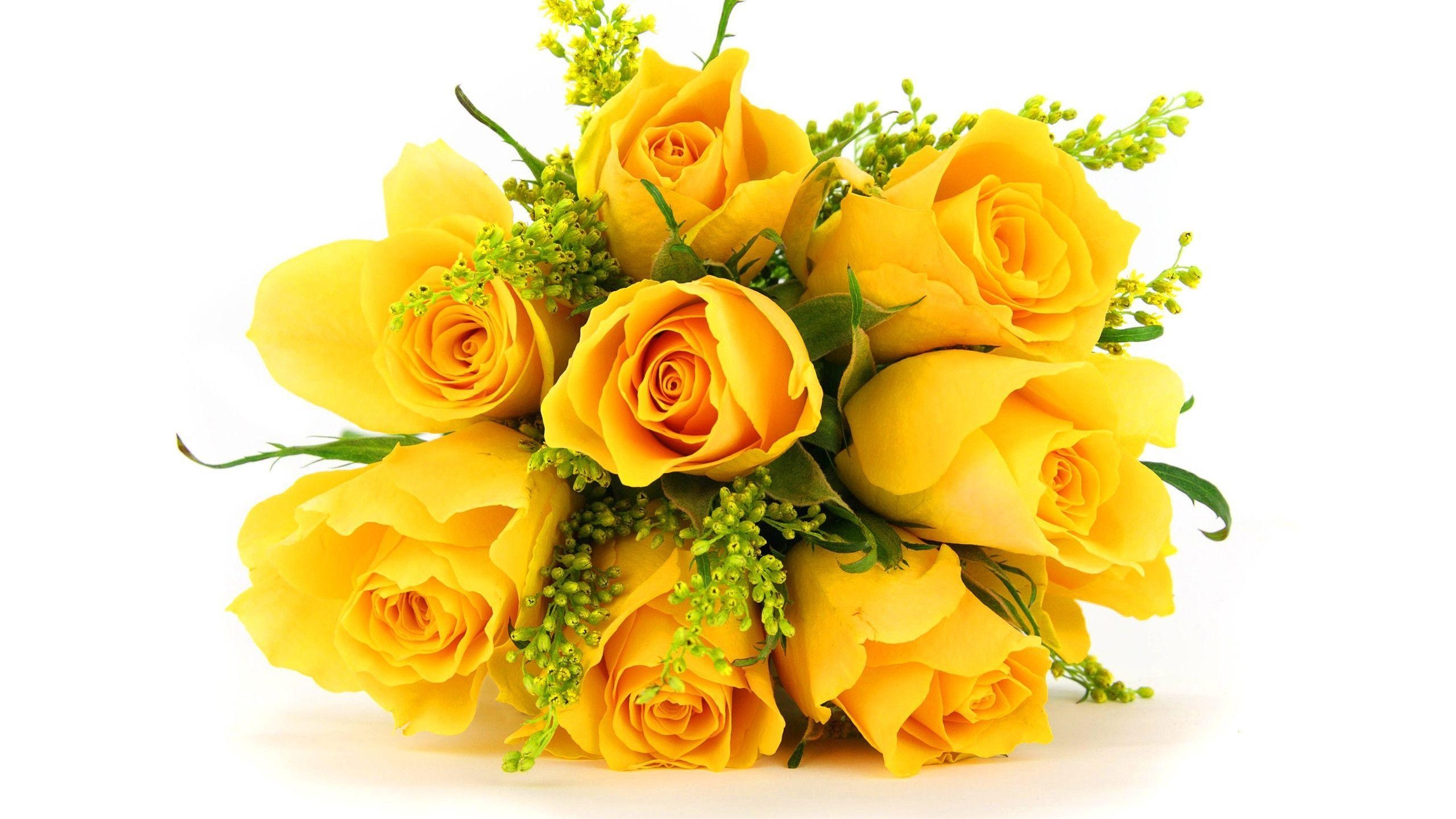 2560x1440 Bunch yellow roses wallpaper, Desktop