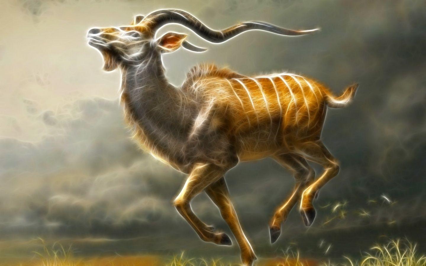 1440x900 Male Greater Kudu Wallpaper, Desktop