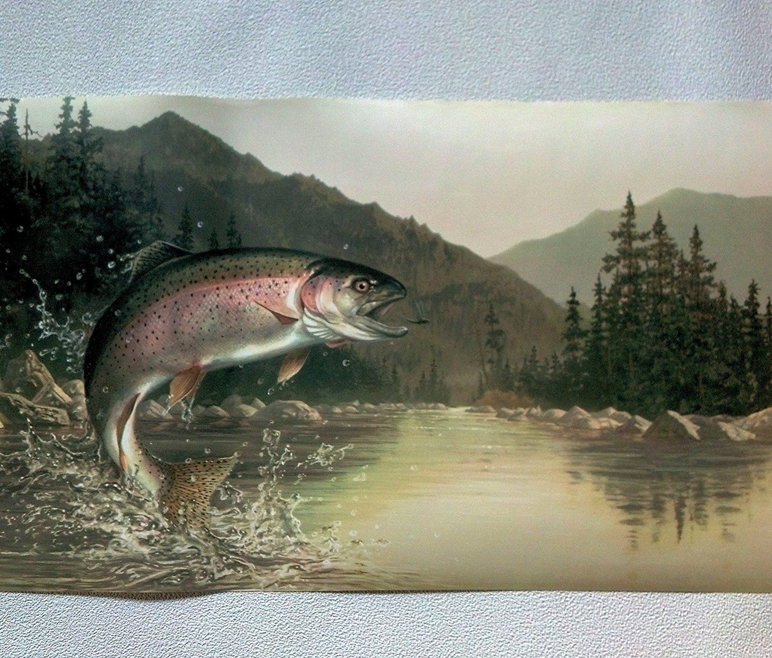 1500x1280 Fishing Rainbow Trout Wallpaper Border Light Hb112192b, Desktop