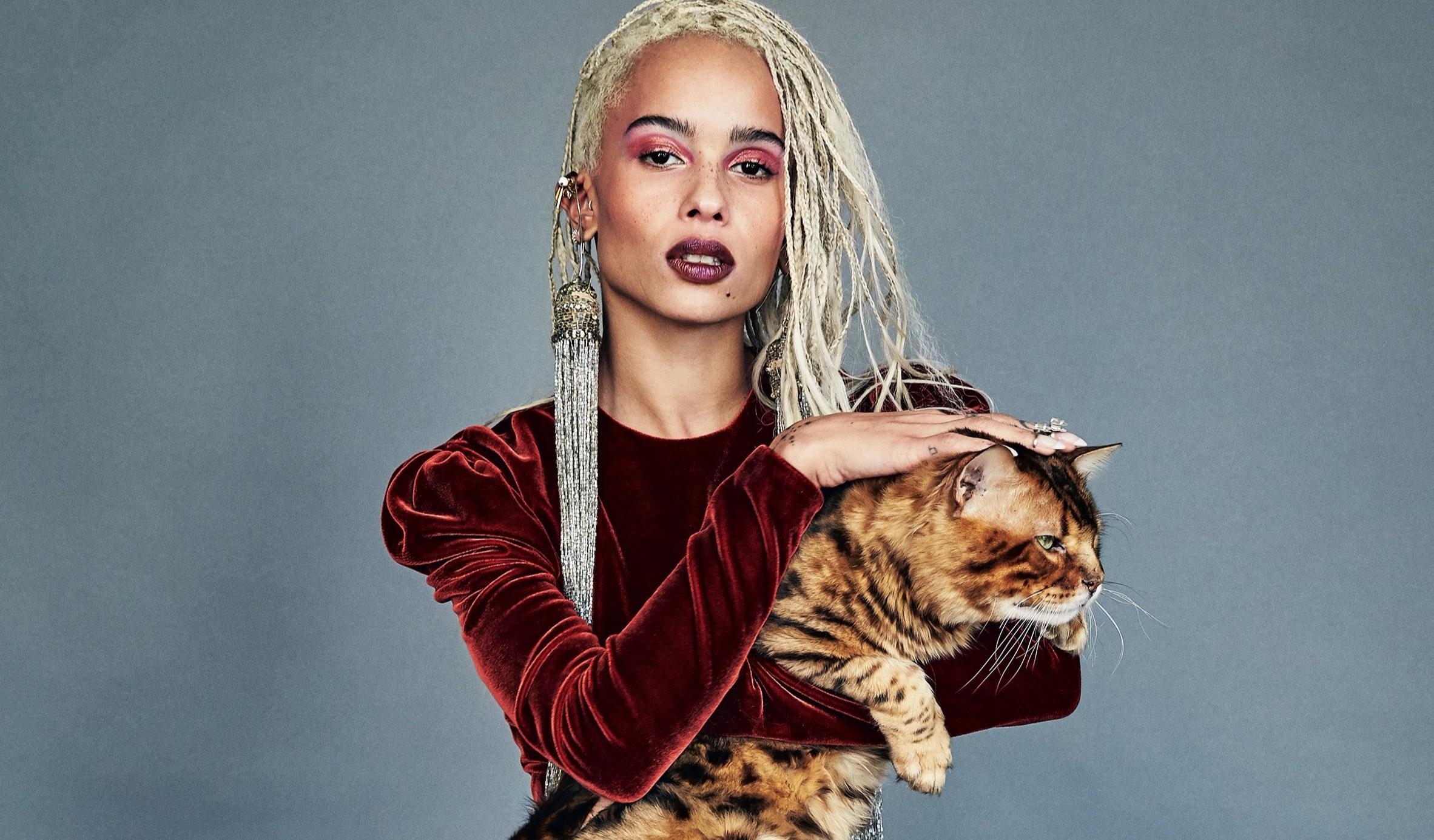 2370x1390 Zoe Kravitz With Cat Wallpaper, HD Celebrities 4K Wallpaper, Desktop