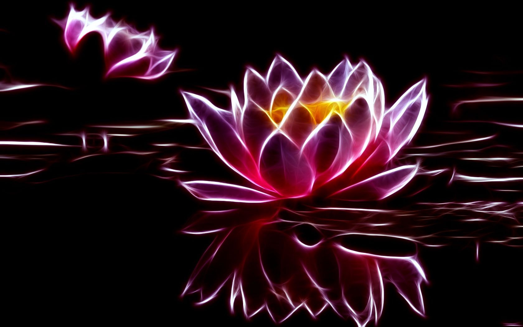 1680x1050 Water Lily Wallpaper, Desktop