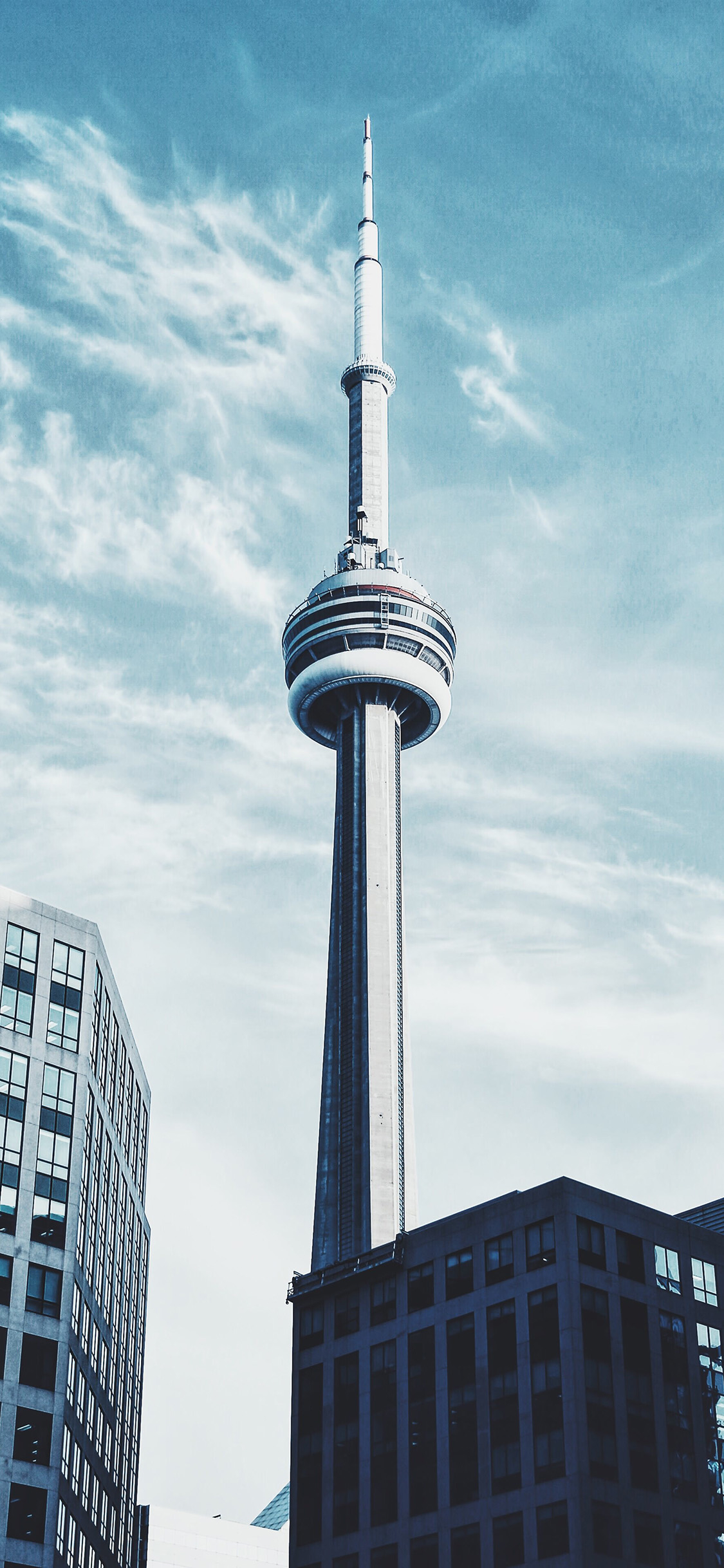 1130x2440 Nature Cntower Toronto City Wallpaper, Phone