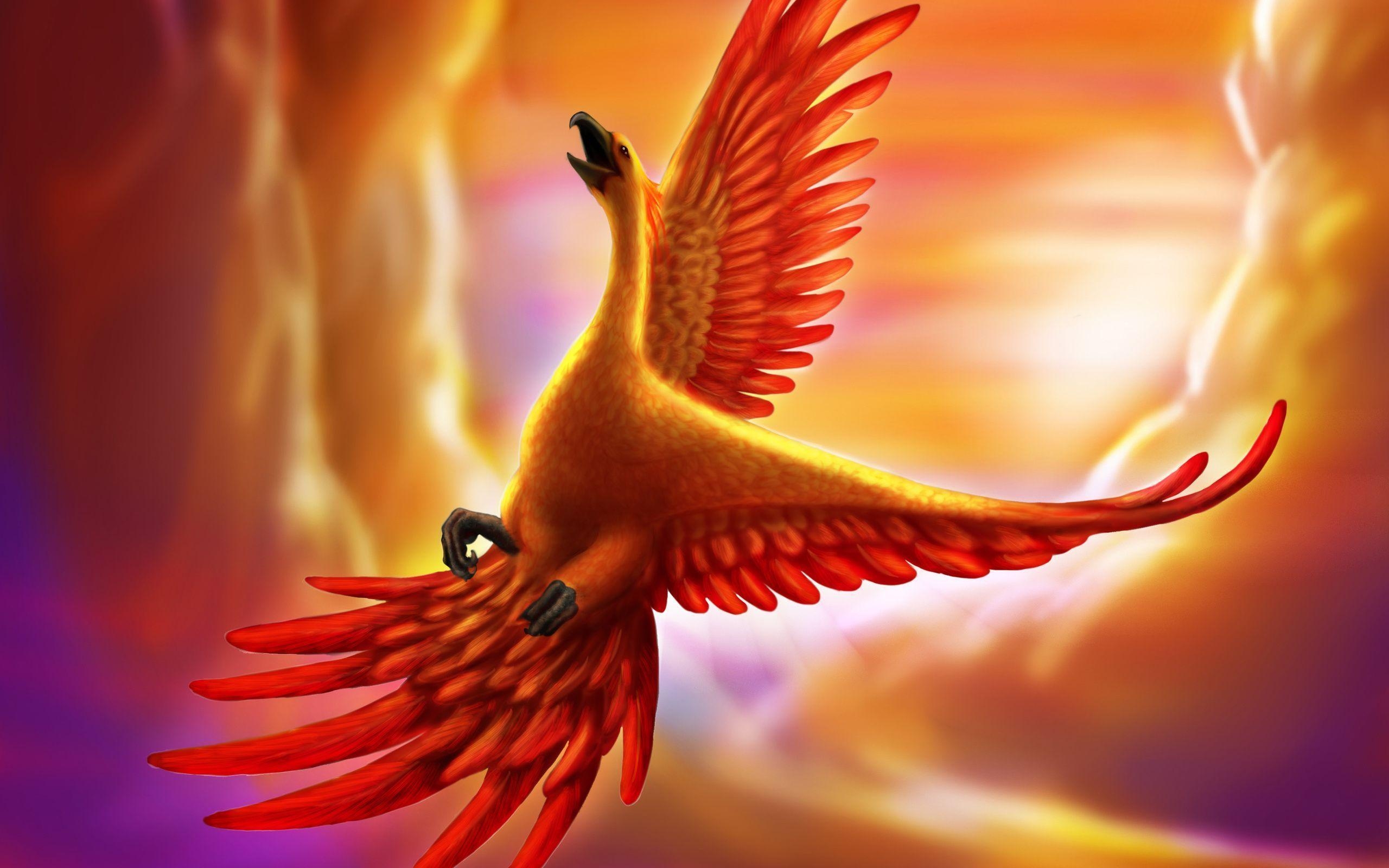 2560x1600 Blue Phoenix Bird Wallpaper, Desktop