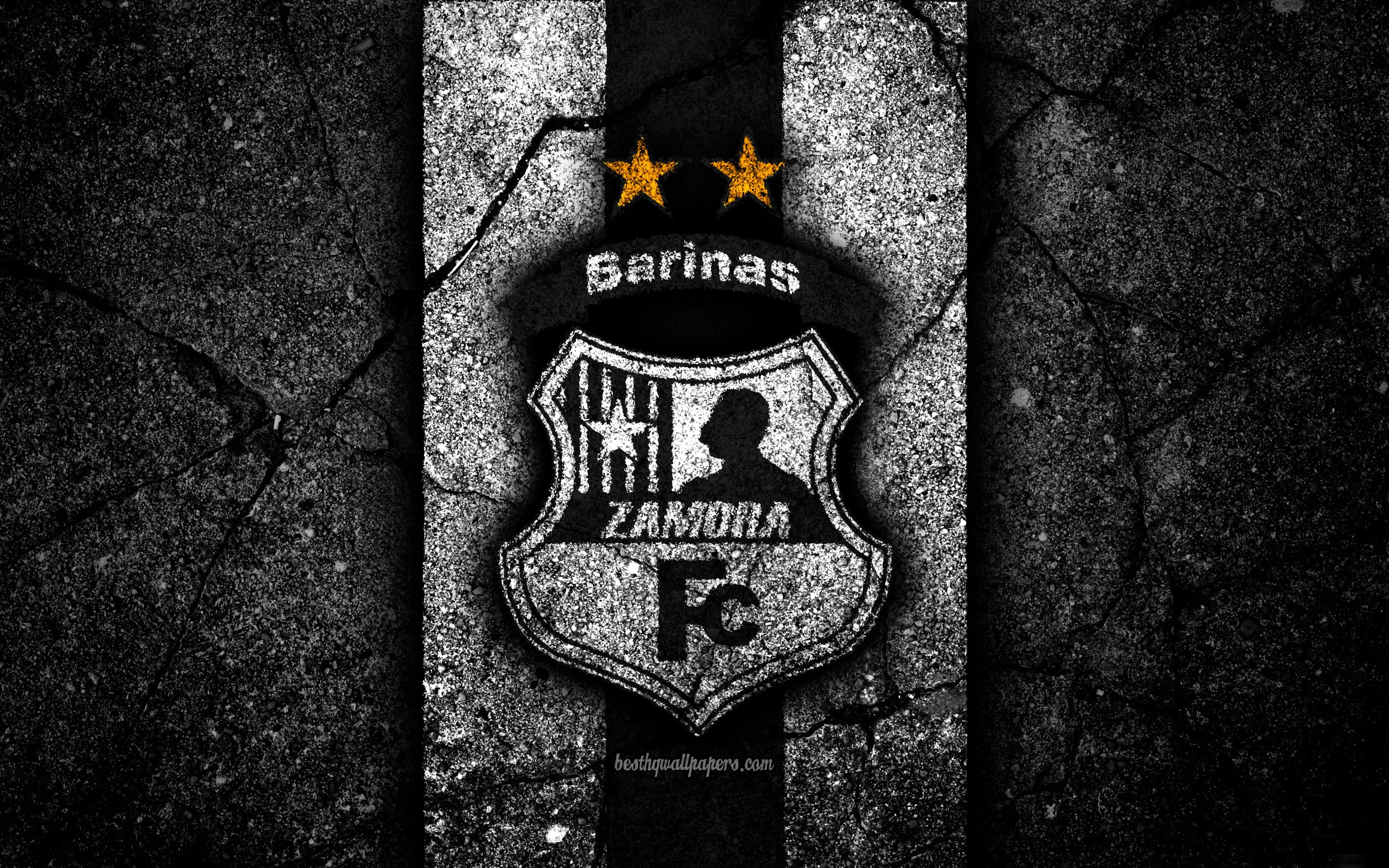 3840x2400 Download wallpaper 4k, FC Zamora, logo, La Liga FutVe, black stone, Desktop