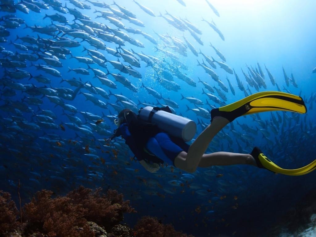 1030x770 Best Scuba Diving Wallpaper High Resolution FULL HD 1080p For PC, Desktop