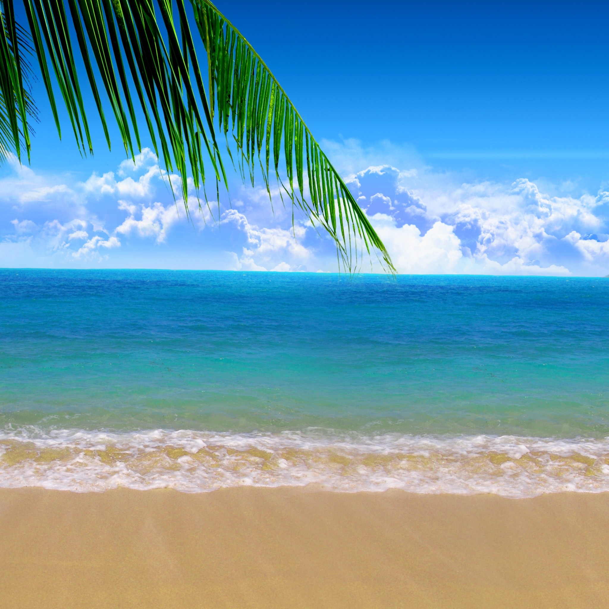 2050x2050 iPad Wallpaper Beach Scenes, Phone