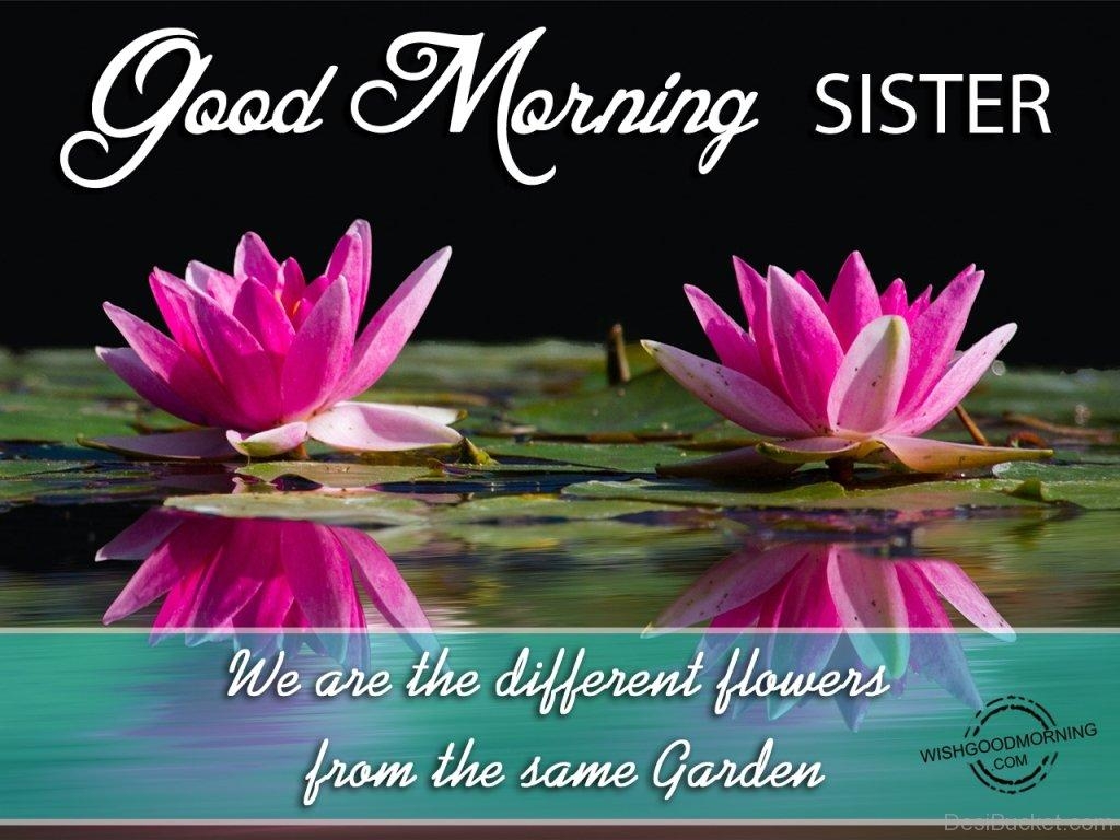 1030x770 Good Morning Wishes For Sister Picture, Image, Photo, Desktop