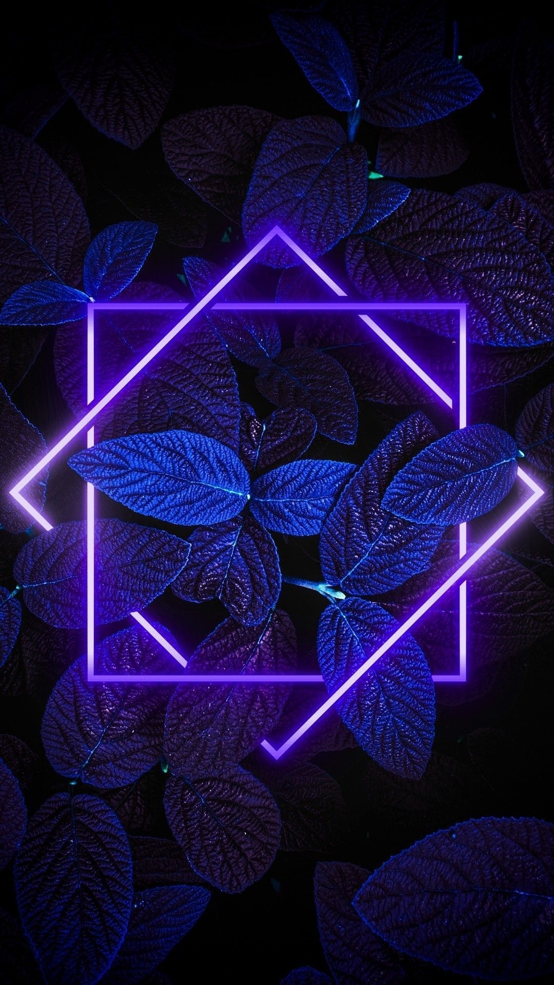 1080x1920 4K Aesthetic Neon Wallpaper iPhone Gray Free, Phone