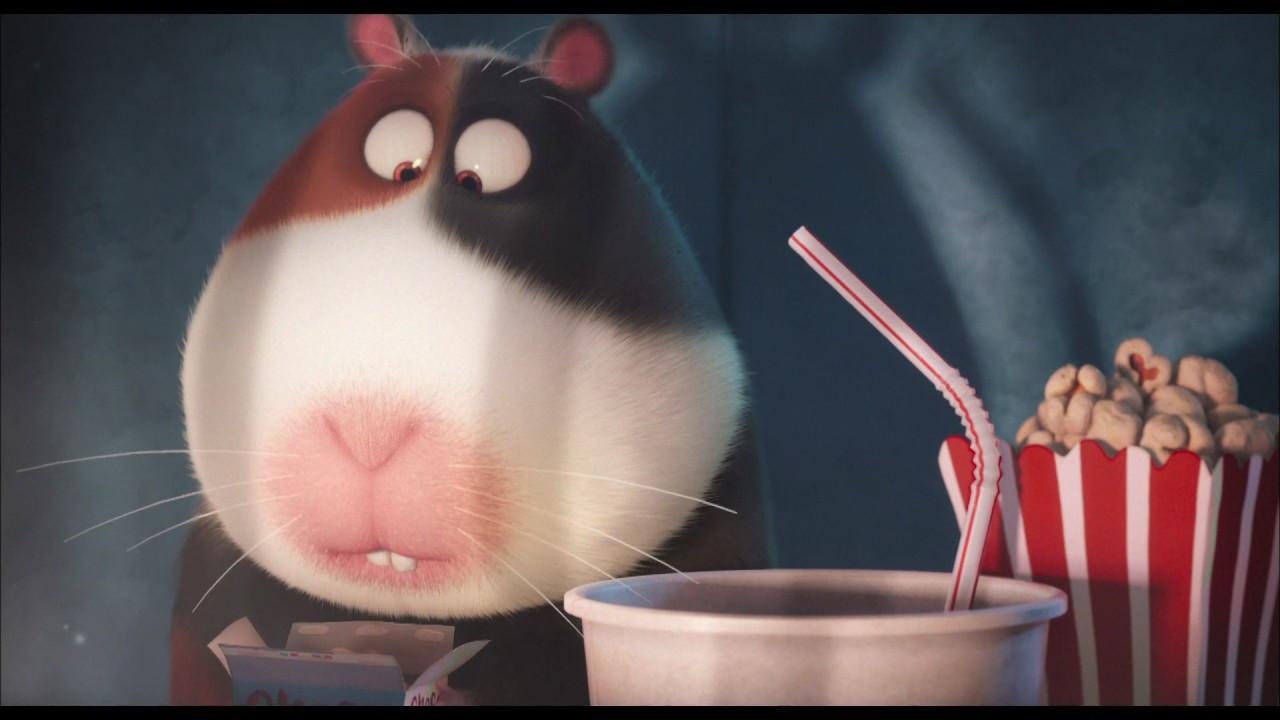 1280x720 The Secret Life of Pets TV it on Digital HD now, Desktop