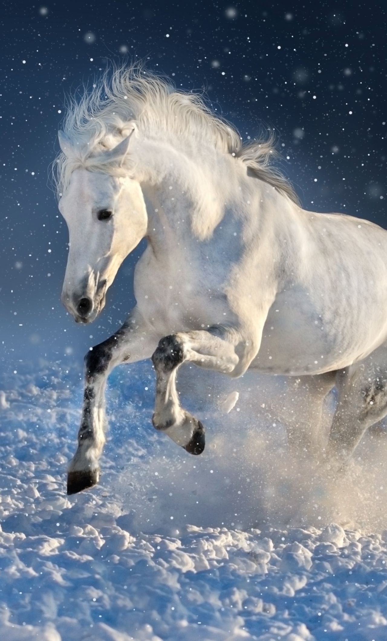 1280x2120 White Horse, Run, Mammal, Portrait, Wallpaper 7 Horse Wallpaper iPhone, Phone