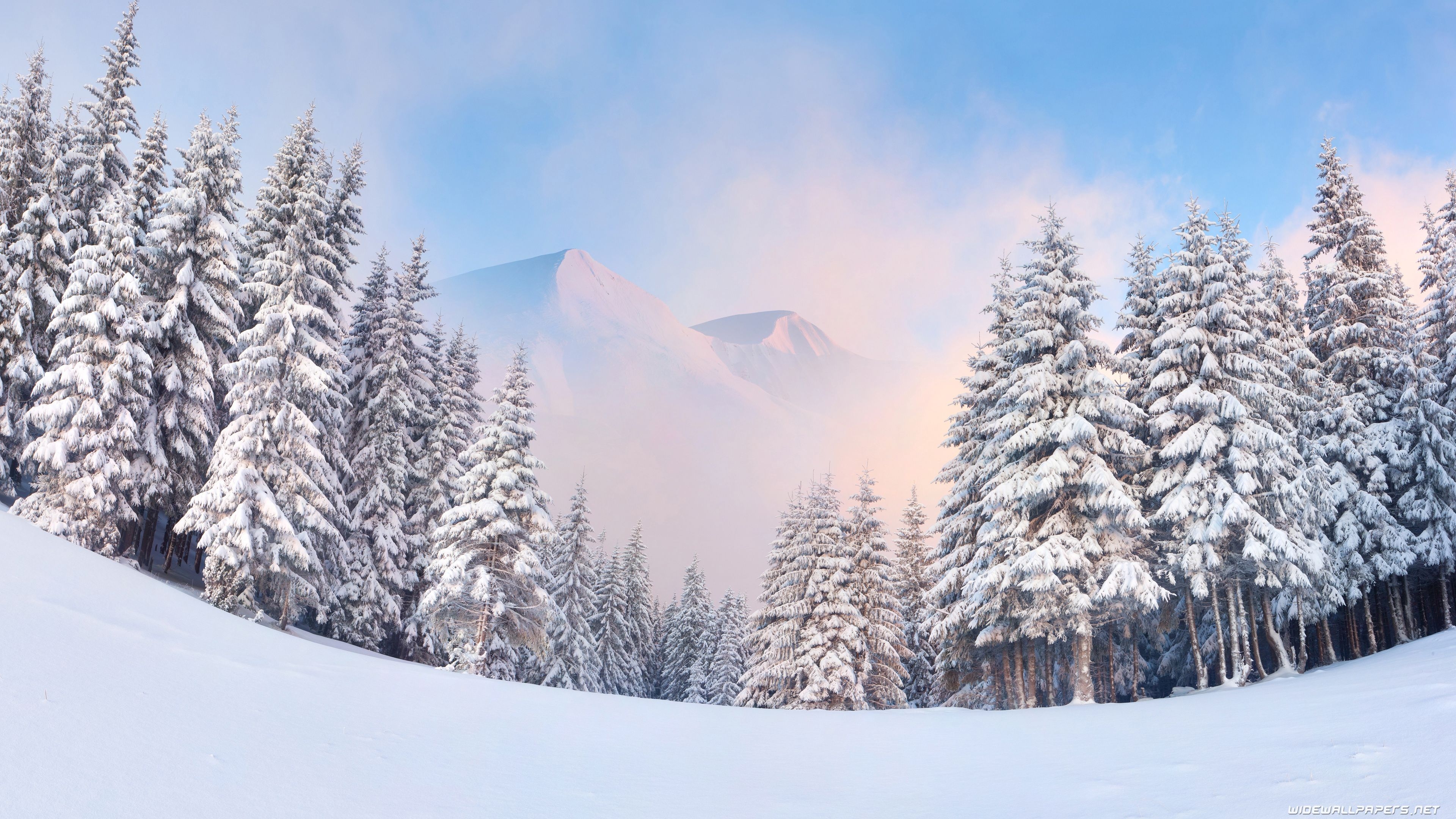 3840x2160 Winter desktop wallpaper 4K Ultra HD, Desktop