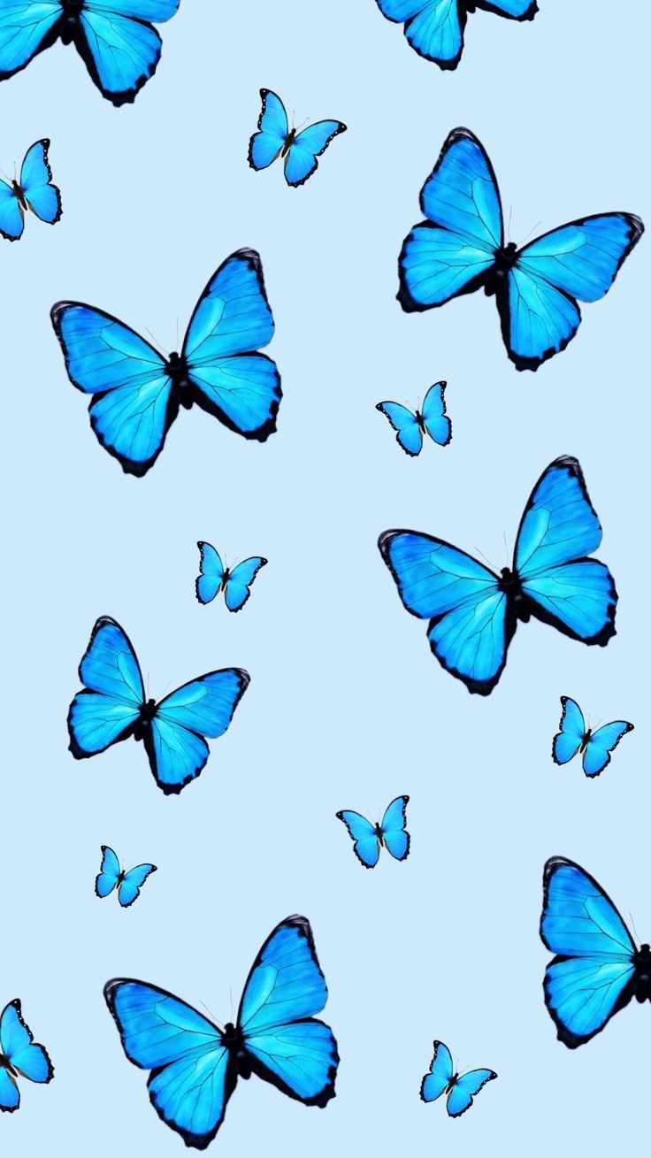 740x1310 iPhone Wallpaper Pattern. Blue butterfly wallpaper, Butterfly wallpaper background, Cute blue wallpaper, Phone