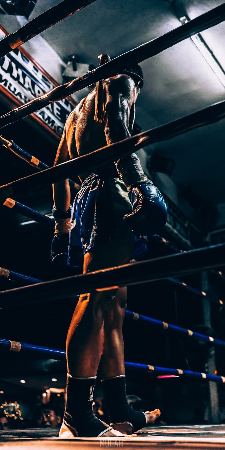 720x1440 a male fighter standing in the ring wearing boxing gloves in chiang mai, for glory, Honor 9S HD download,  HD Wallpaper, Phone