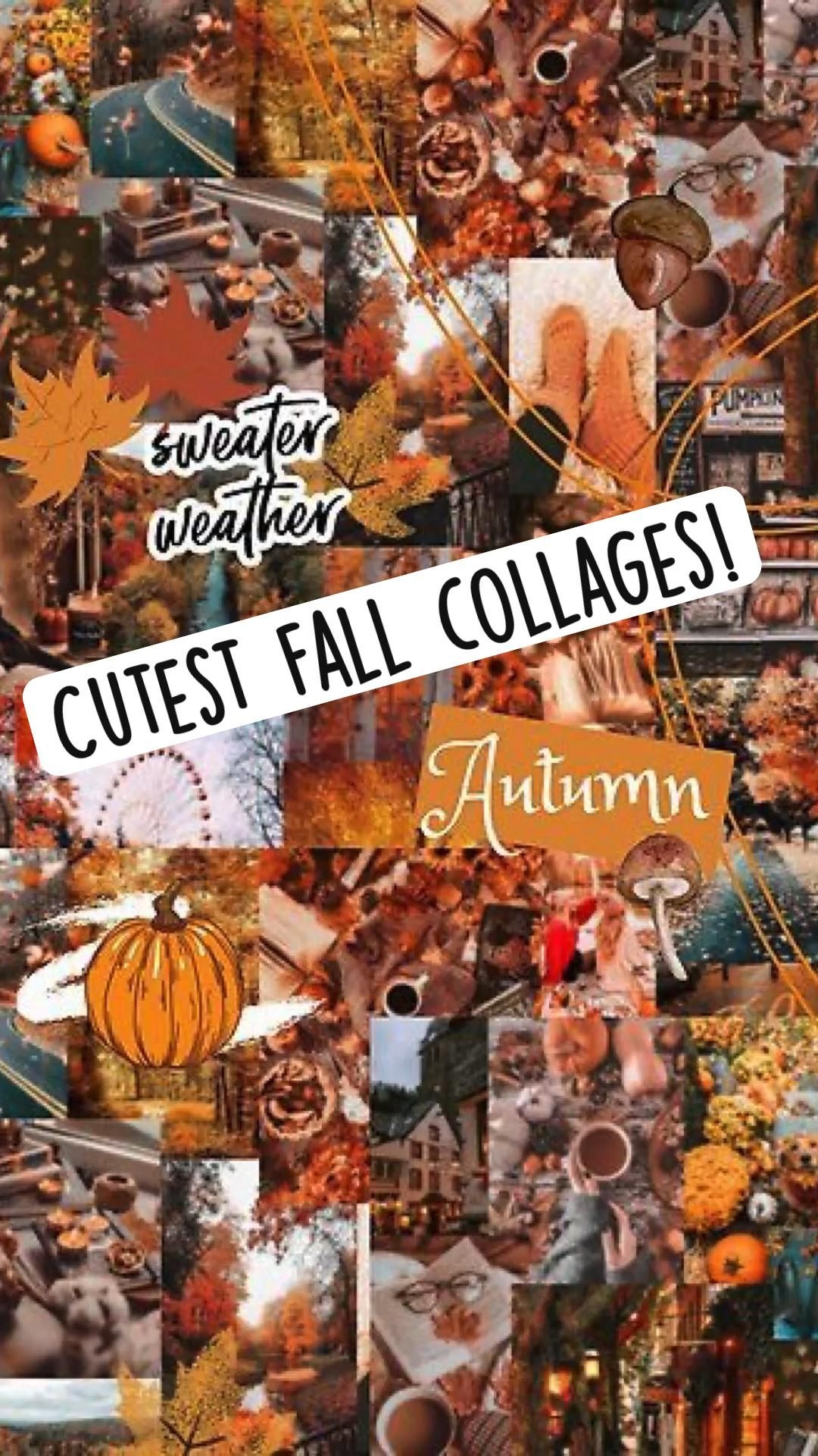 1080x1920 Cutest fall collages! (not my pics). Cute fall wallpaper, Halloween wallpaper iphone, Halloween wallpaper background, Phone