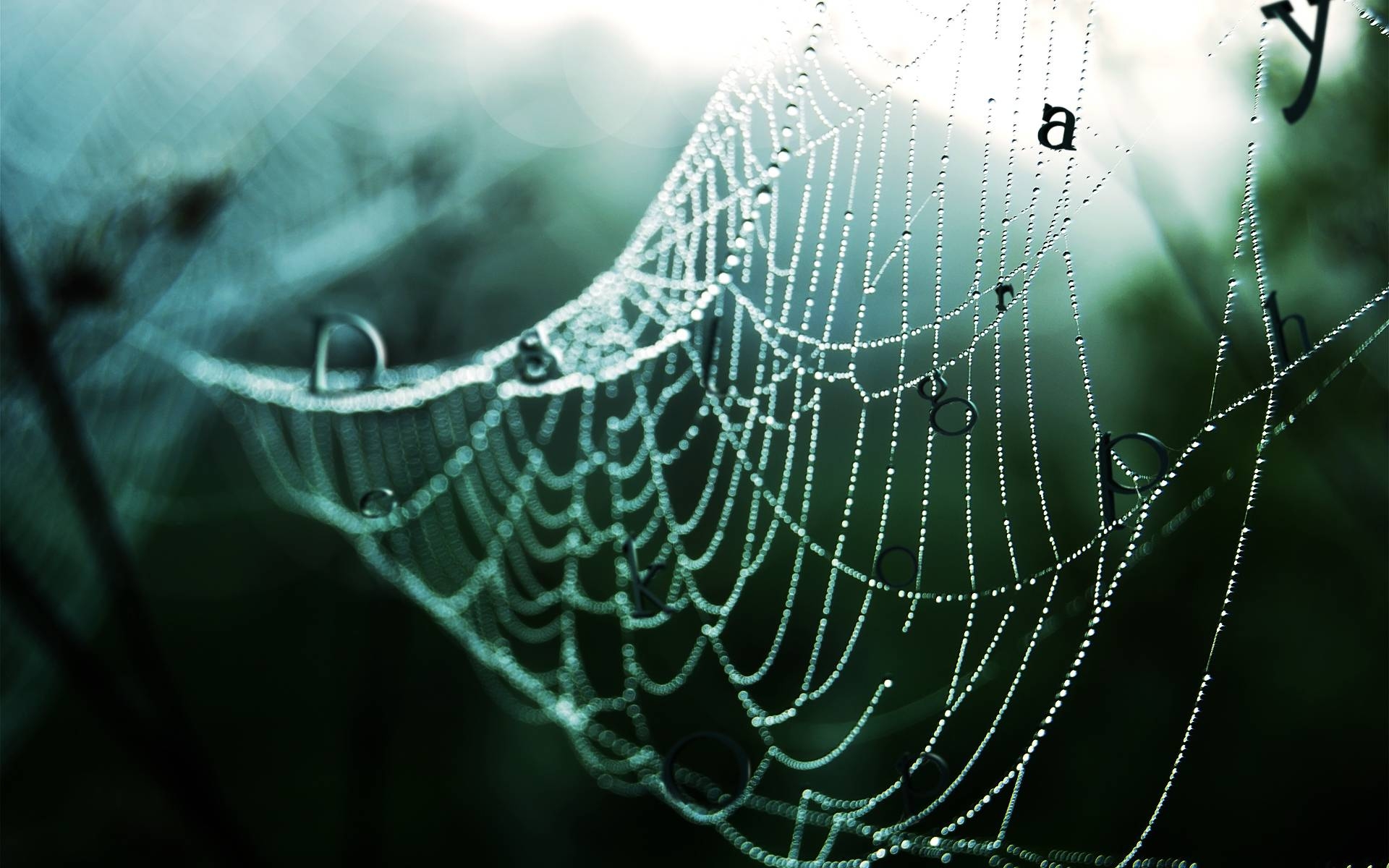 1920x1200 Spider Web Wallpaper 3D, Desktop