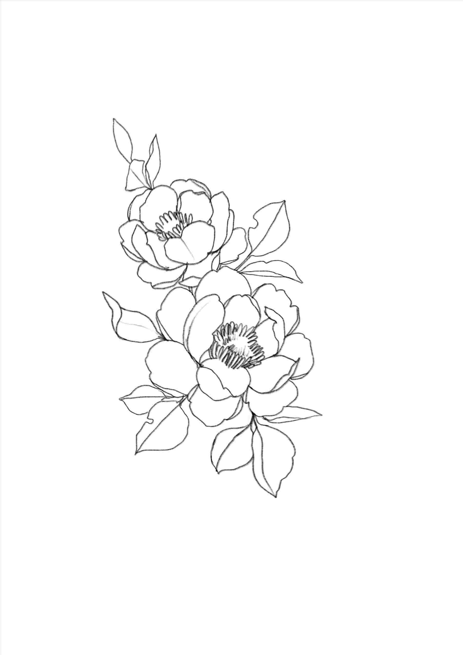 1900x2690 Minimalist Drawing Aesthetic Wallpaper. Minimalist Aesthetic Flower Drawings, Phone