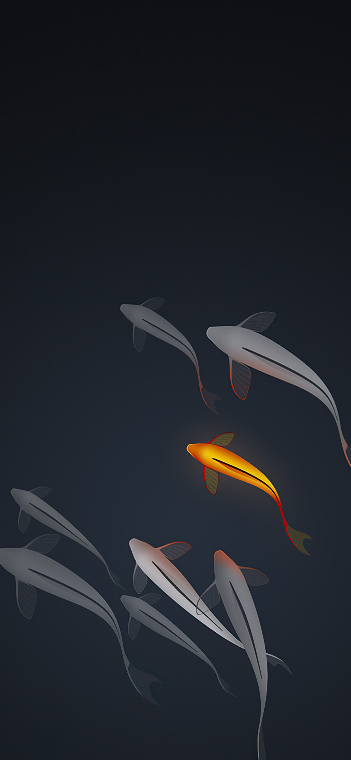 1130x2440 Koi Fishes Minimal 4k iPhone, Phone