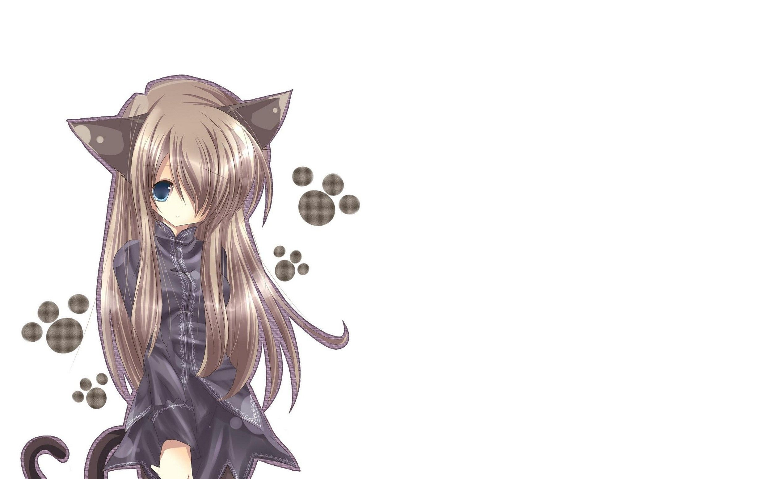 2490x1560 Cat Girl Nekomimi Art Girl Superb Anime Wallpaper Cat, Desktop