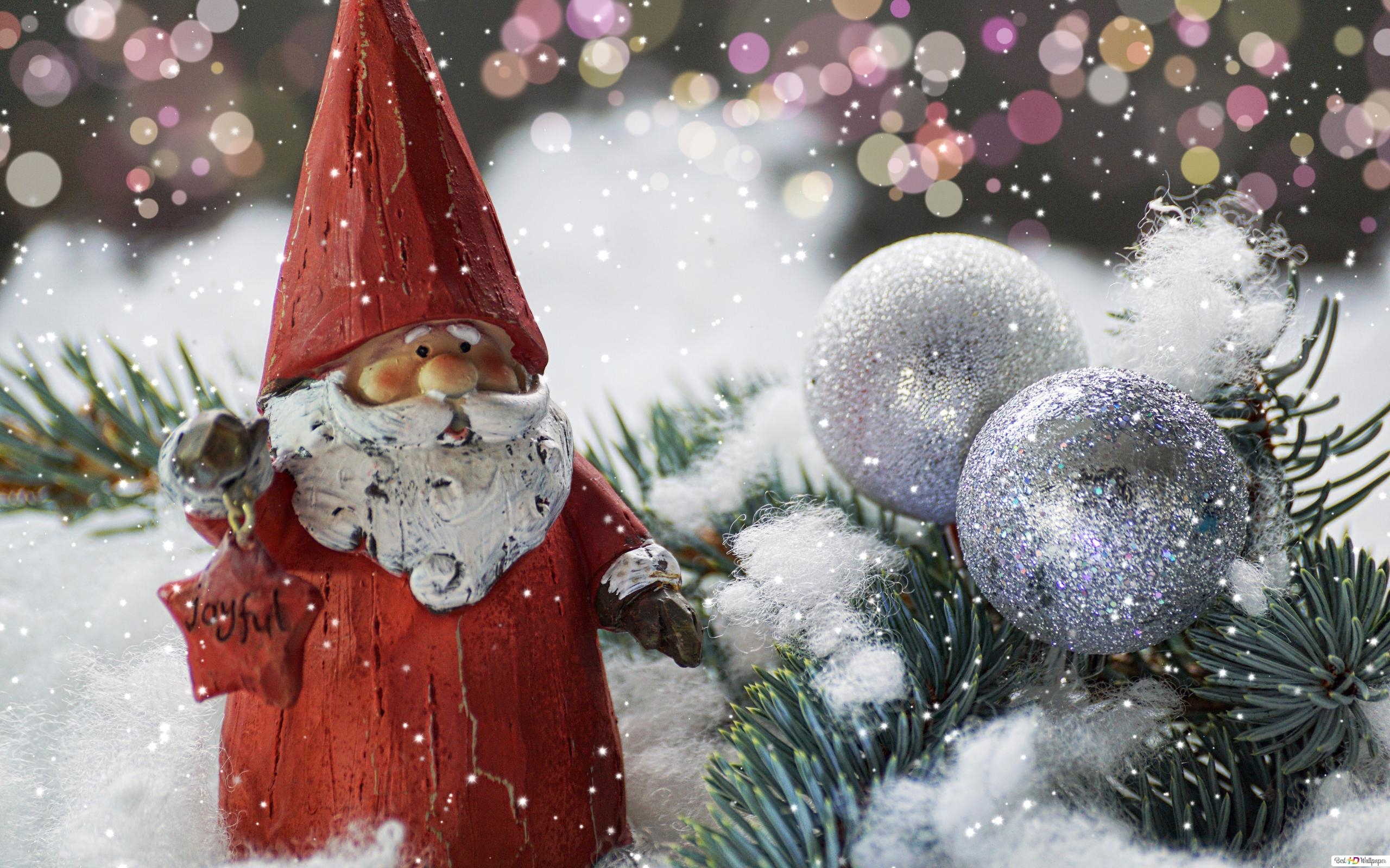 2560x1600 Mr. Gnomes chirstmas HD wallpaper download, Desktop