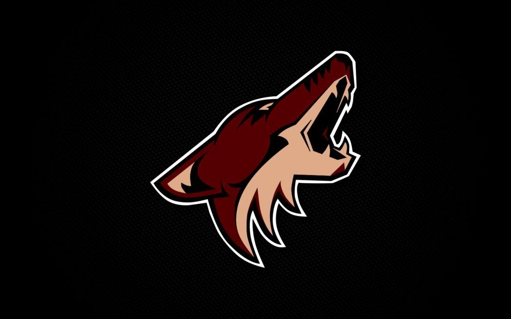 1050x660 Wallpaper Coyotes, Desktop