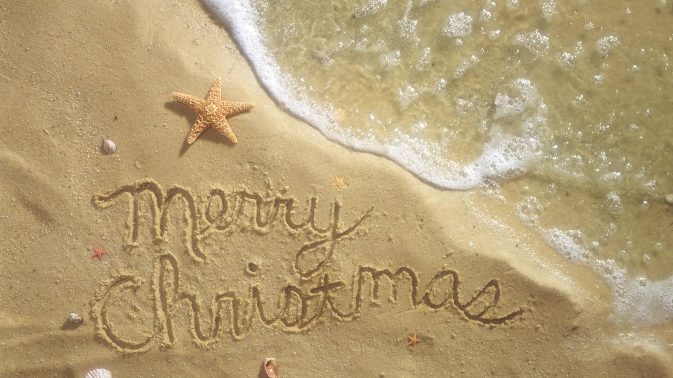 2560x1440 Tropical Christmas Wallpaper. High Definition Wallpaper, Desktop