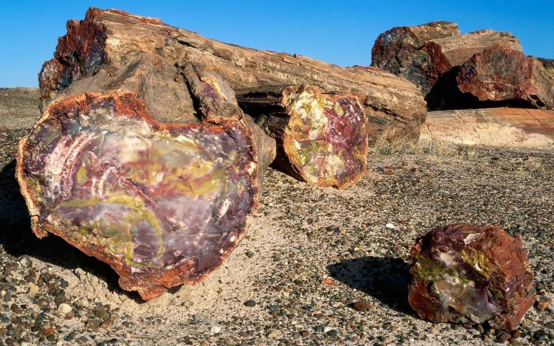 1920x1200 Petrified Forest National Park 846320, Desktop