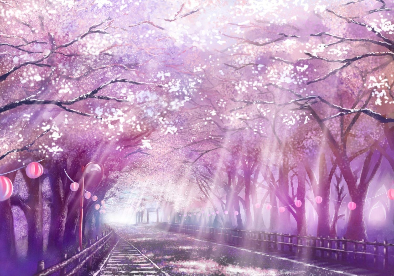 1500x1060 Cherry Blossoms Anime Scenery Wallpaper Free Cherry, Desktop