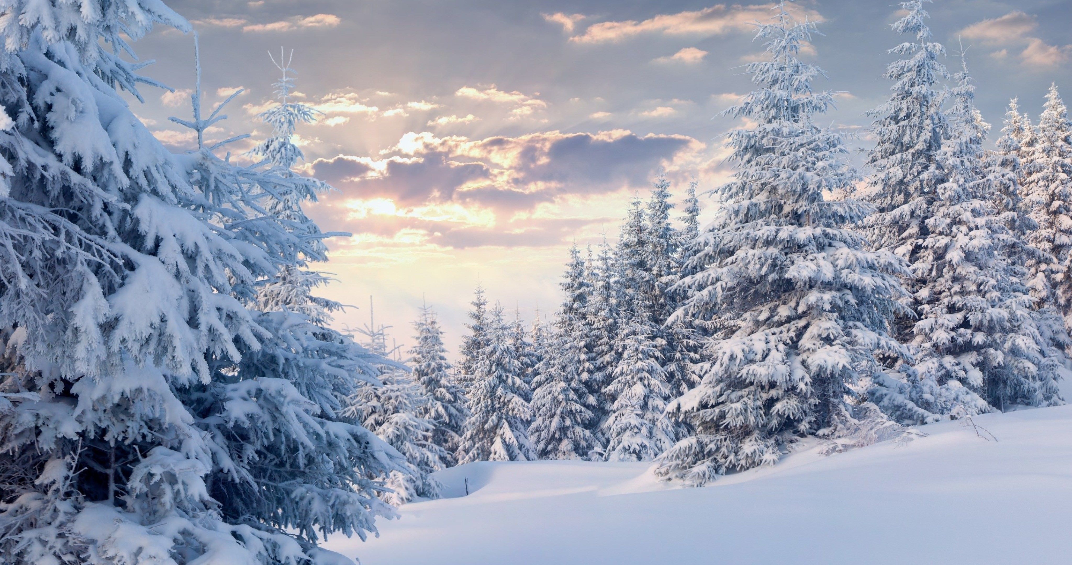 4100x2160 Snow 4K Wallpaper Free Snow 4K Background, Desktop