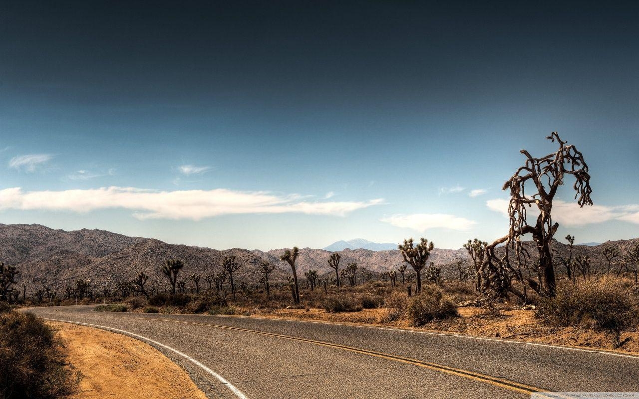 1280x800 Joshua Tree National Park Camping, Desktop