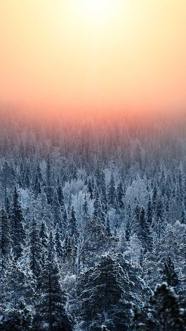 740x1310 Wonderful Winter World iPhone X Wallpaper. Preppy Wallpaper. iPhone wallpaper winter, Preppy wallpaper, Weather wallpaper, Phone