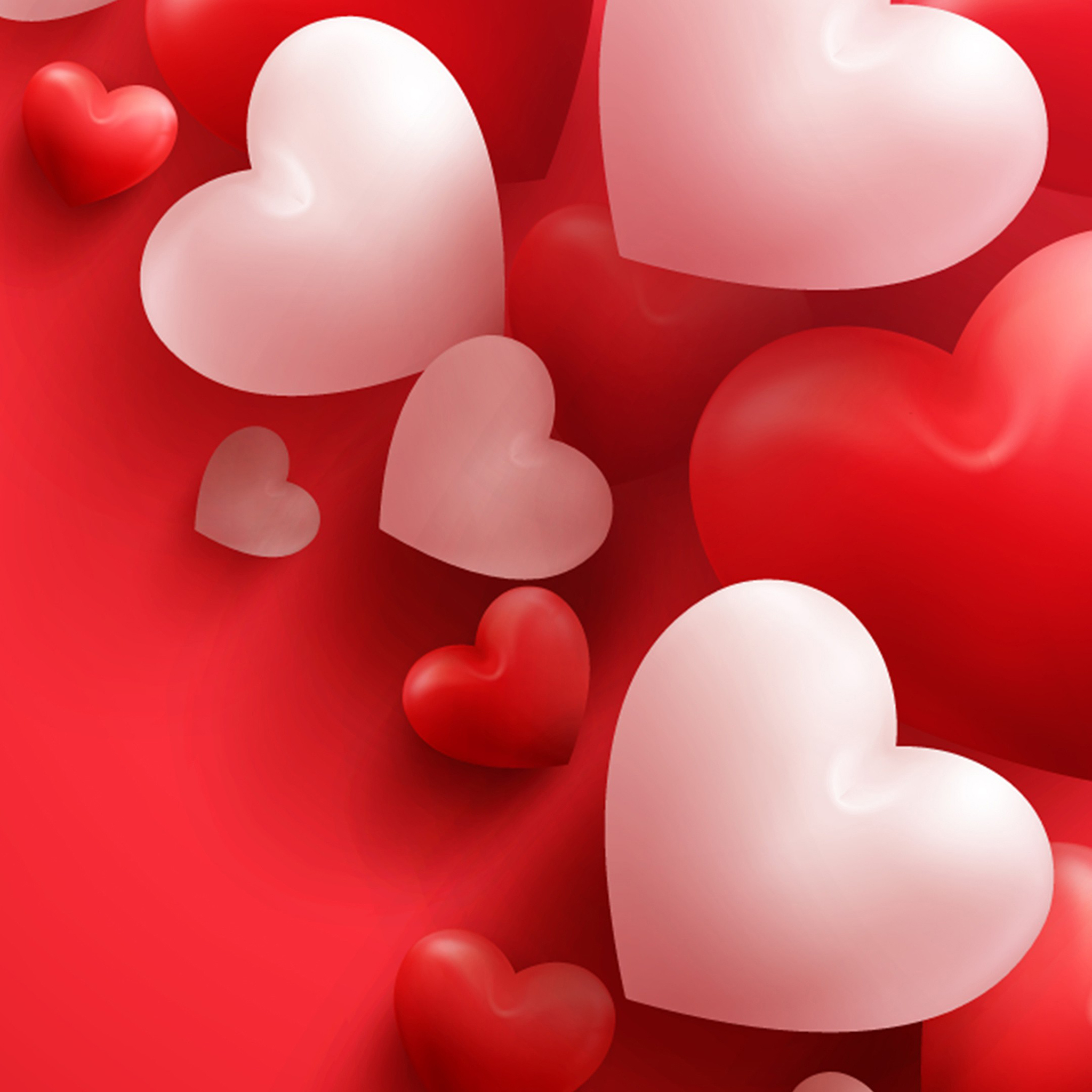 2050x2050 4K Happy Valentine's Day Wallpaper, Phone