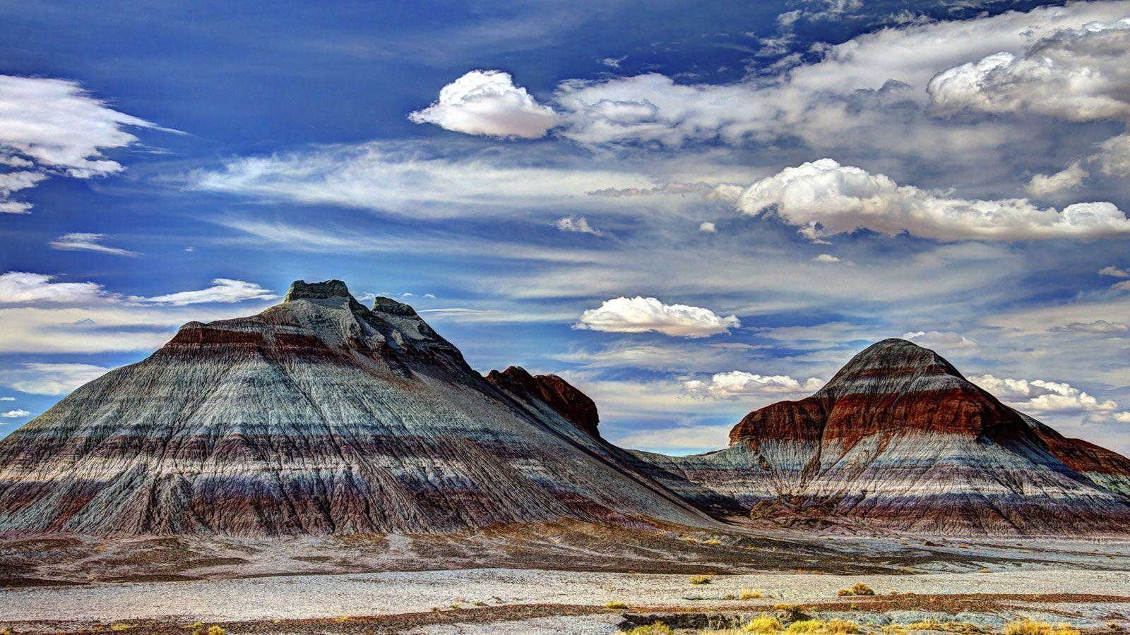 1600x900 Petrified Forest National Park, Desktop