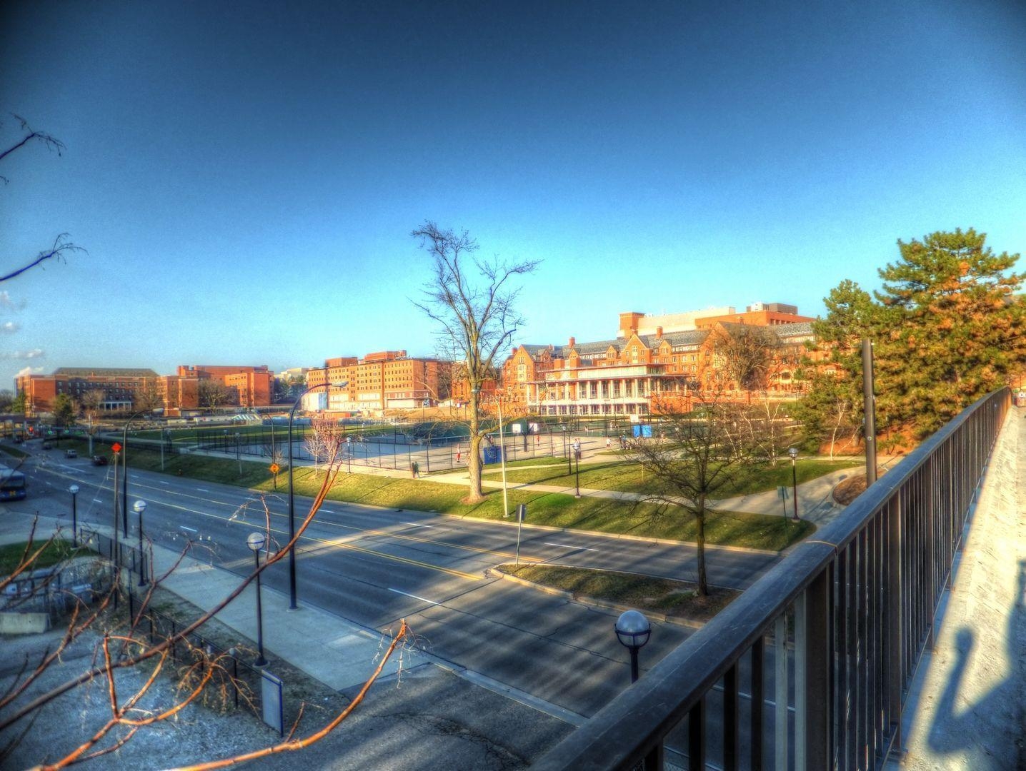 1440x1080 University of Michigan Campus Winter, Desktop