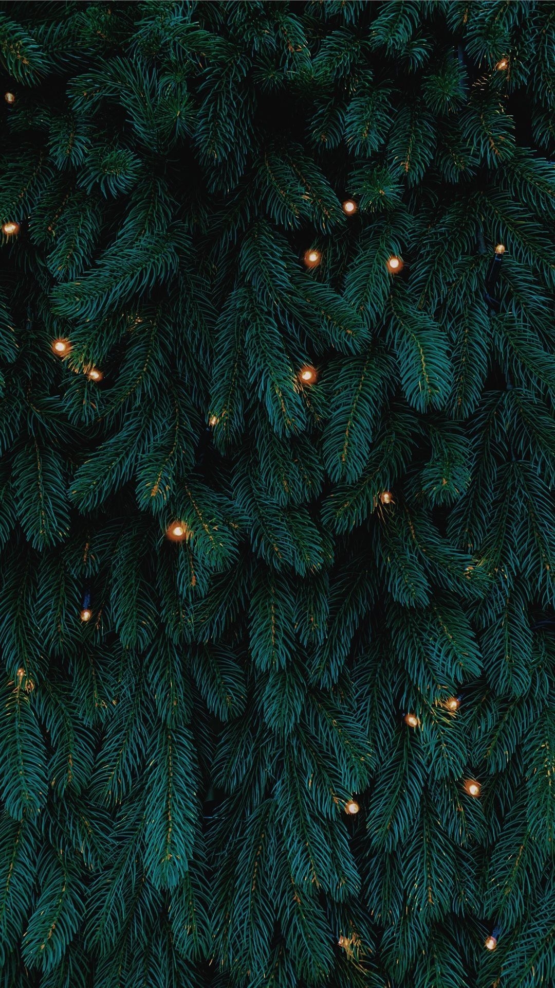 1080x1920 green Christmas tree with lights iPhone SE Wallpaper Free Download, Phone